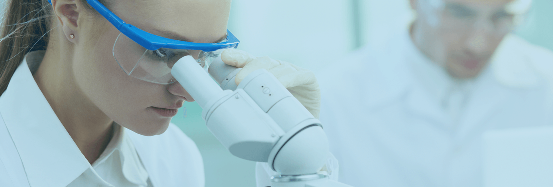 Bion Healthcare